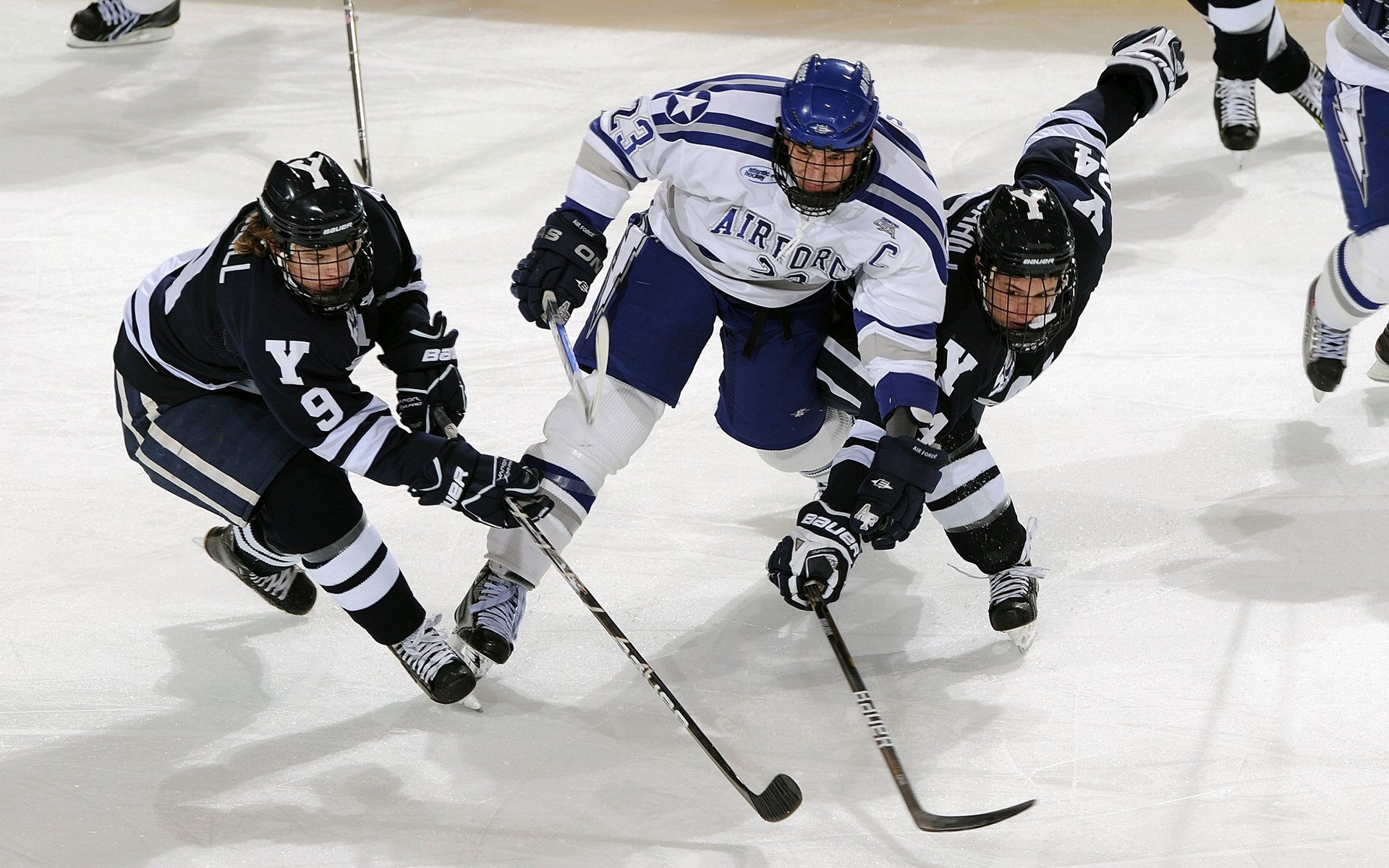 国际课程比较研究，国际的课程